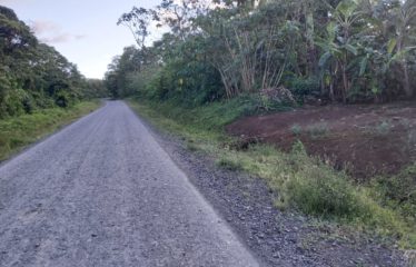 Lote Dos Rios de Upala