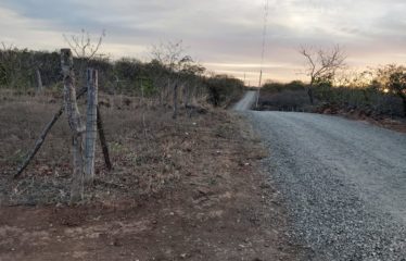 Lote Colonia Bolaños