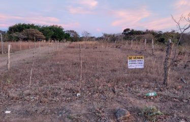 Lote Colonia Bolaños