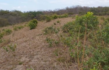 Finca en La Florida, Santa Cruz, Guanacaste