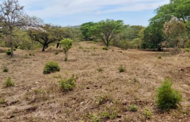 Finca en La Florida, Santa Cruz, Guanacaste