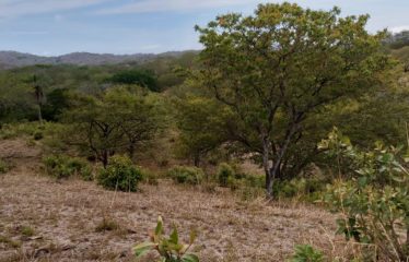 Finca en La Florida, Santa Cruz, Guanacaste