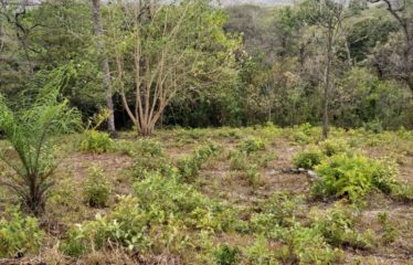 Finca en La Florida, Santa Cruz, Guanacaste