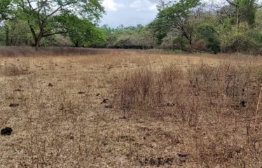 Finca Santa María, Liberia, Guanacaste