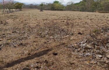 Finca Santa María, Liberia, Guanacaste