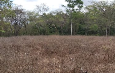 Finca Santa María, Liberia, Guanacaste