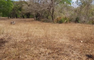 Finca Santa María, Liberia, Guanacaste