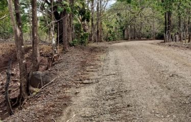 Finca Santa María, Liberia, Guanacaste