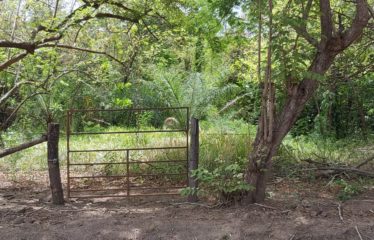 Finca, Llano del Cortéz, Bagaces