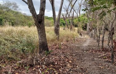 Finca, Llano del Cortéz, Bagaces