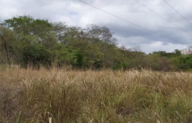 Finca, Llano del Cortéz, Bagaces