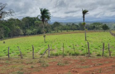 Finca los Andes, La Cruz, Gte