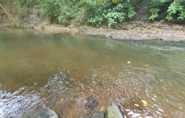 Finca los Andes, La Cruz, Gte