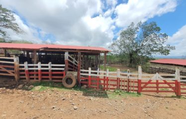 Finca los Andes, La Cruz, Gte