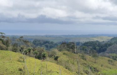 Finca los Andes, La Cruz, Gte