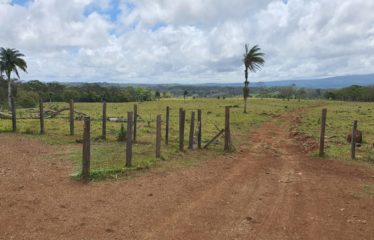 Finca los Andes, La Cruz, Gte