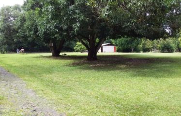 Lote, Hacienda Vieja, Orotina