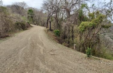 Finca, Arado Santa Cruz, Gte