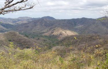 Finca, Arado Santa Cruz, Gte