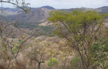 Finca, Arado Santa Cruz, Gte