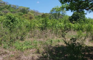 Finca, Santa Bárbara, Santa Cruz, Gte