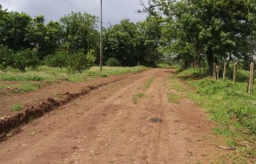 Lote, Santa Cecelia, La Cruz, Gte