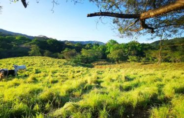 Finca, Montaña Grande Lepanto