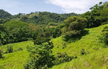 Finca, Montaña Grande Lepanto