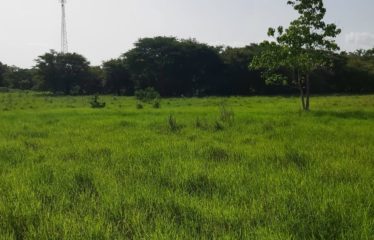 Se vende finca de 7.5 Has, Liberia