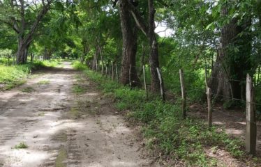 Se vende finca de 17 has Liberia