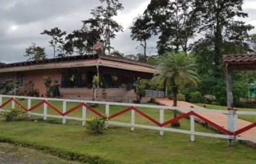 Se venden Casa – El Gavilán de Dos Rios , Upala.