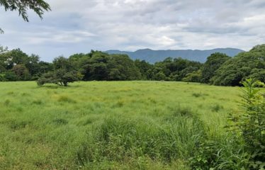 Se vende finca 10has – Quebrada Honda