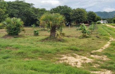 Se vende finca 10has – Quebrada Honda