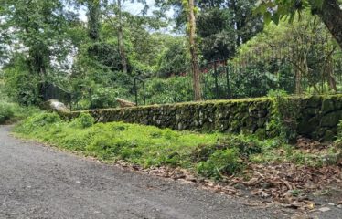 Se vende finca 7 has – Upala Dos Ríos