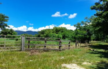 Se vende lote – Nicoya