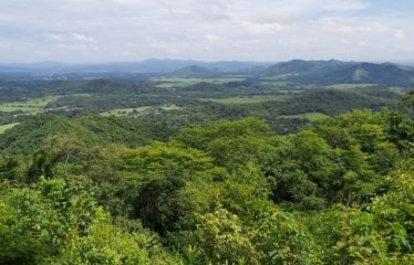 Se vende finca – San Juan, Santa Cruz