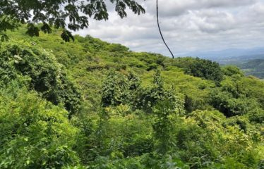 Se vende finca – San Juan, Santa Cruz