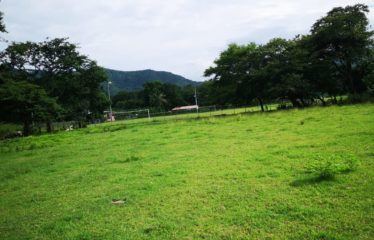 Se vende finca en Nicoya