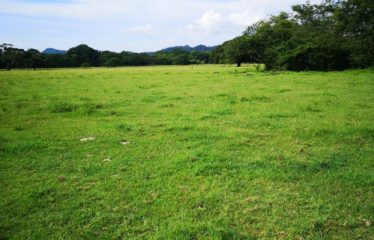 Se vende finca en Nicoya