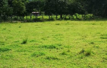 Se vende finca en Nicoya