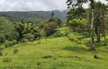 Se vende finca en Colonia Blanca Upala