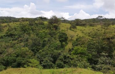 Se vende finca en Colonia Blanca Upala