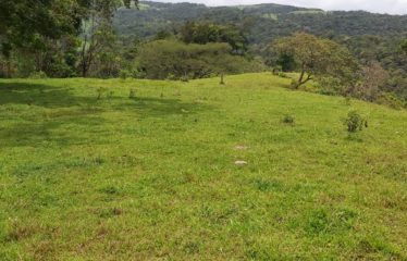 Se vende finca en Colonia Blanca Upala