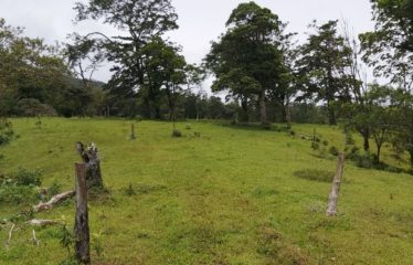 Se vende finca en Colonia Blanca Upala