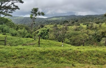 Se vende finca en Colonia Blanca Upala