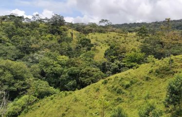 Se vende finca en Colonia Blanca Upala