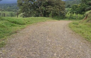 Se vende finca en Colonia Blanca Upala