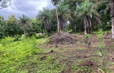 Se vende finca – El barro – Turrubares