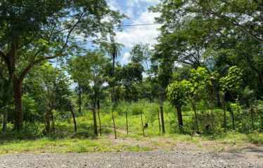 Se vende finca – El barro – Turrubares