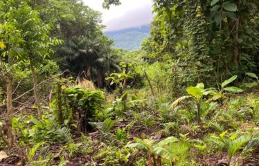 Se vende finca – El barro – Turrubares